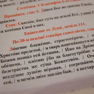 AGR_3217 копия