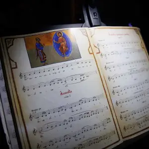 AGR_5596 копия