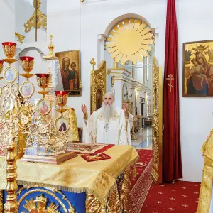 AGR_7644 копия
