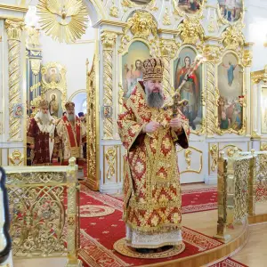 AGR_8231 копия