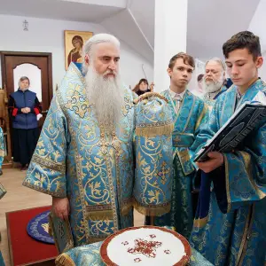 AGR_0045 копия