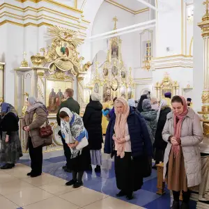 AGR_1043 копия