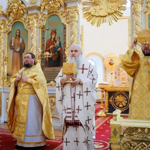 AGR_1692 копия