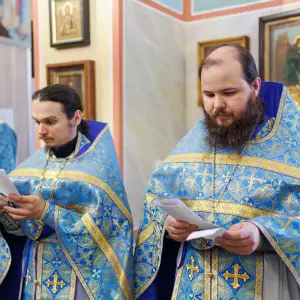 AGR_3131 копия