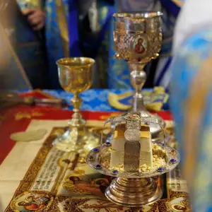 AGR_3446 копия