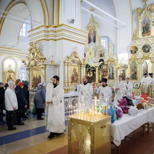 AGR_5564 копия