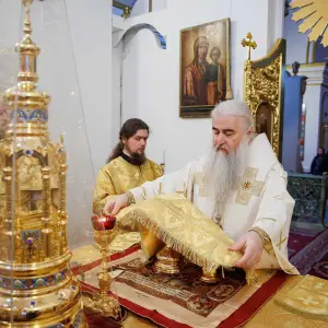 AGR_5896 копия