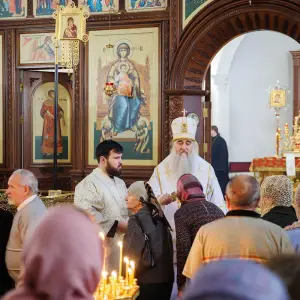 AGR_8269 копия