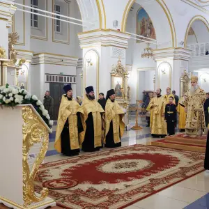 AGR_8545 копия