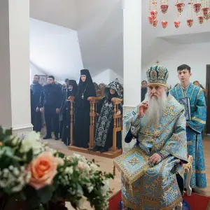 AGR_9133 копия