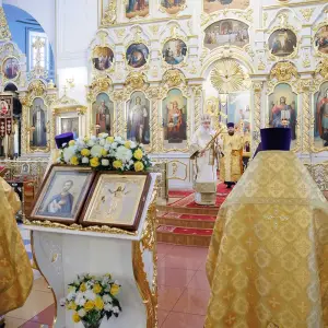 AGR_9303 копия