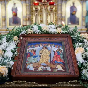 AGR_0359 копия