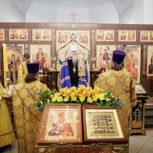 AGR_0693 копия