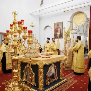 AGR_0850 копия