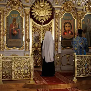 AGR_1131 копия