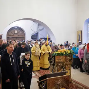 AGR_1132 копия