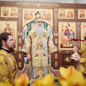 AGR_1739 копия