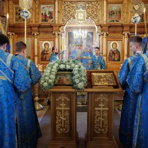 AGR_3392 копия