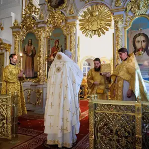 AGR_3590 копия