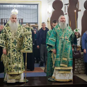 AGR_4597 копия