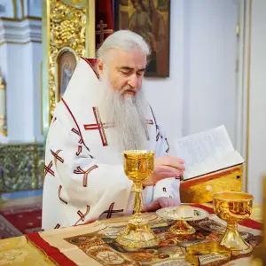 AGR_4691 копия