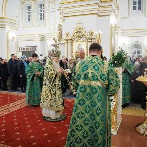 AGR_4710 копия
