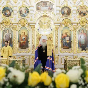 AGR_6929 копия