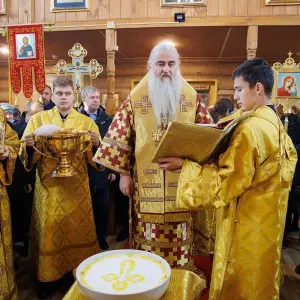 AGR_7311 копия