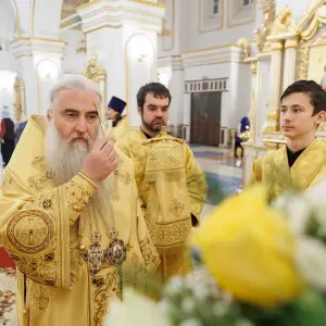 AGR_7553 копия
