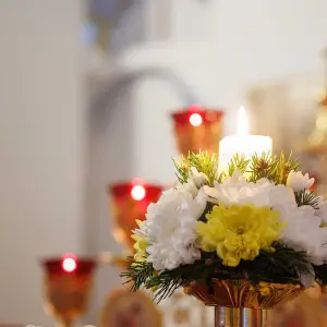 AGR_7686 копия