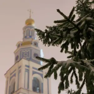 AGR_7764 копия