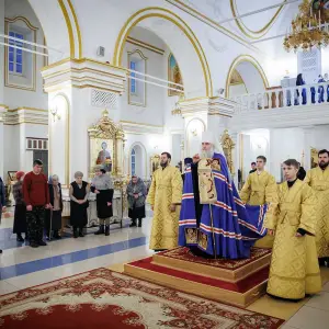 AGR_8131 копия
