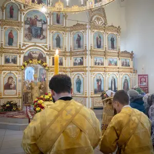 AGR_8503 копия
