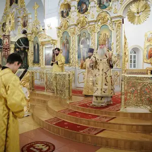 AGR_9208 копия