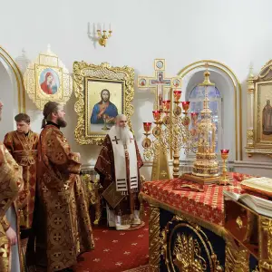 AGR_9476 копия