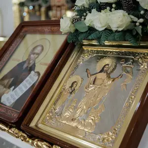 AGR_9565 копия