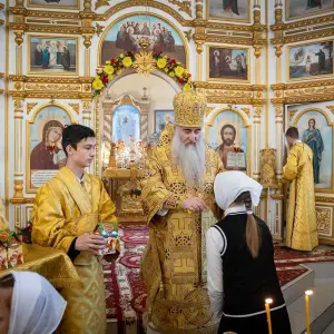 AGR_9630 копия