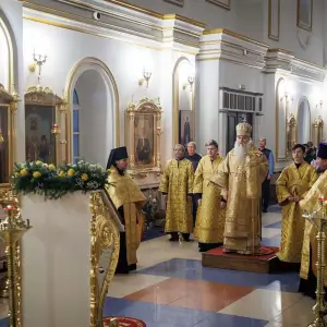 AGR_0980 копия