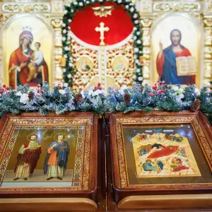 AGR_1152 копия