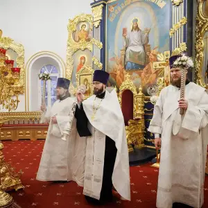 AGR_2217 копия