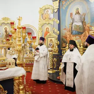 AGR_2451 копия