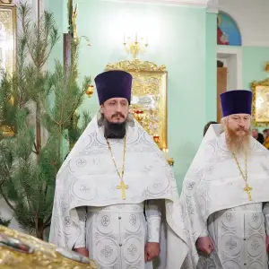 AGR_2550 копия