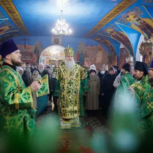 AGR_3564 копия