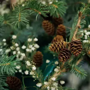 AGR_3655 копия