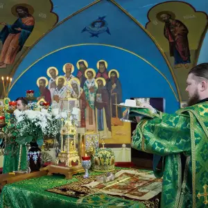 AGR_4611 копия