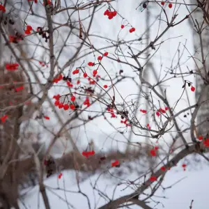 AGR_4756 копия