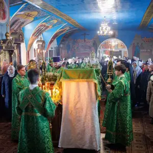 AGR_4931 копия