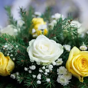 AGR_5387 копия