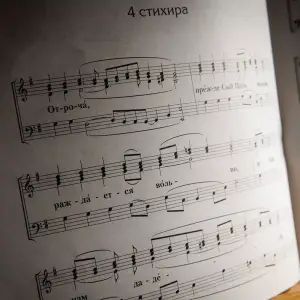 AGR_5715 копия