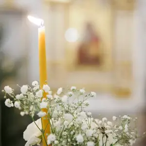 AGR_7109 копия